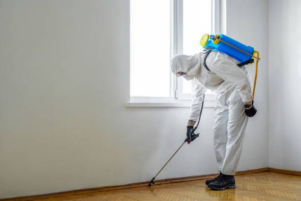 Pest Prevention Services in Harmony Grove, CA