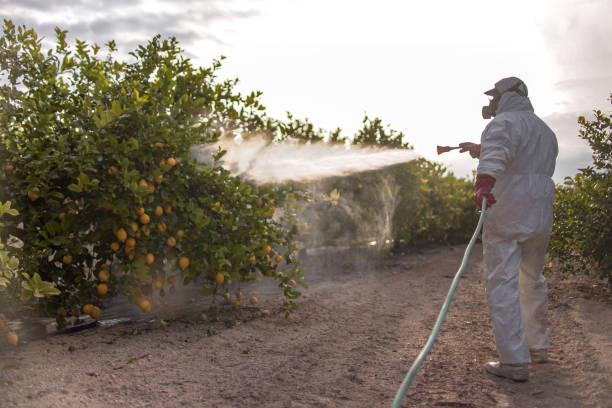 Professional Pest Control in Harmony Grove, CA